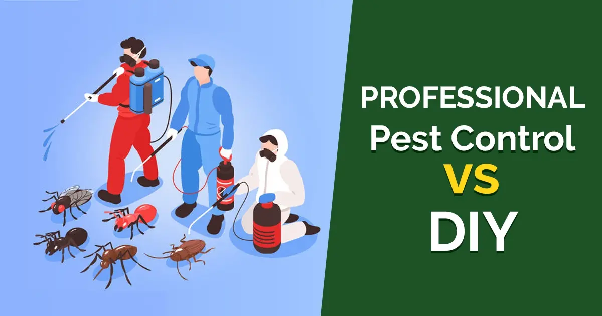 5 Big Reasons Why Pro Pest Control is Better Than DIY
